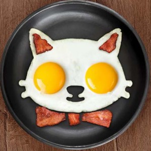 egg-mold-cat